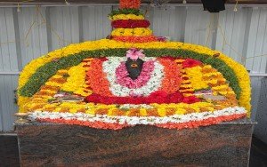ಅಂಗಾರಕ ಸಂಕಷ್ಟ ಚತುರ್ಥಿ: ಗಣಪತಿಗೆ ವಿಶೇಷ ಪೂಜೆ