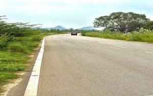 ರಸ್ತೆಯೋ ಜಂಗಲ್ಲೋ? ನಿರ್ವಹಣೆ ಕೊರತೆಯಿಂದ ಅಪಾಯದ ಸಂಚಾರ